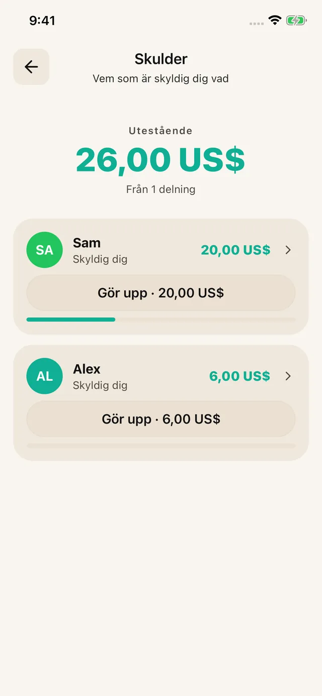 Skulder och återbetalningar